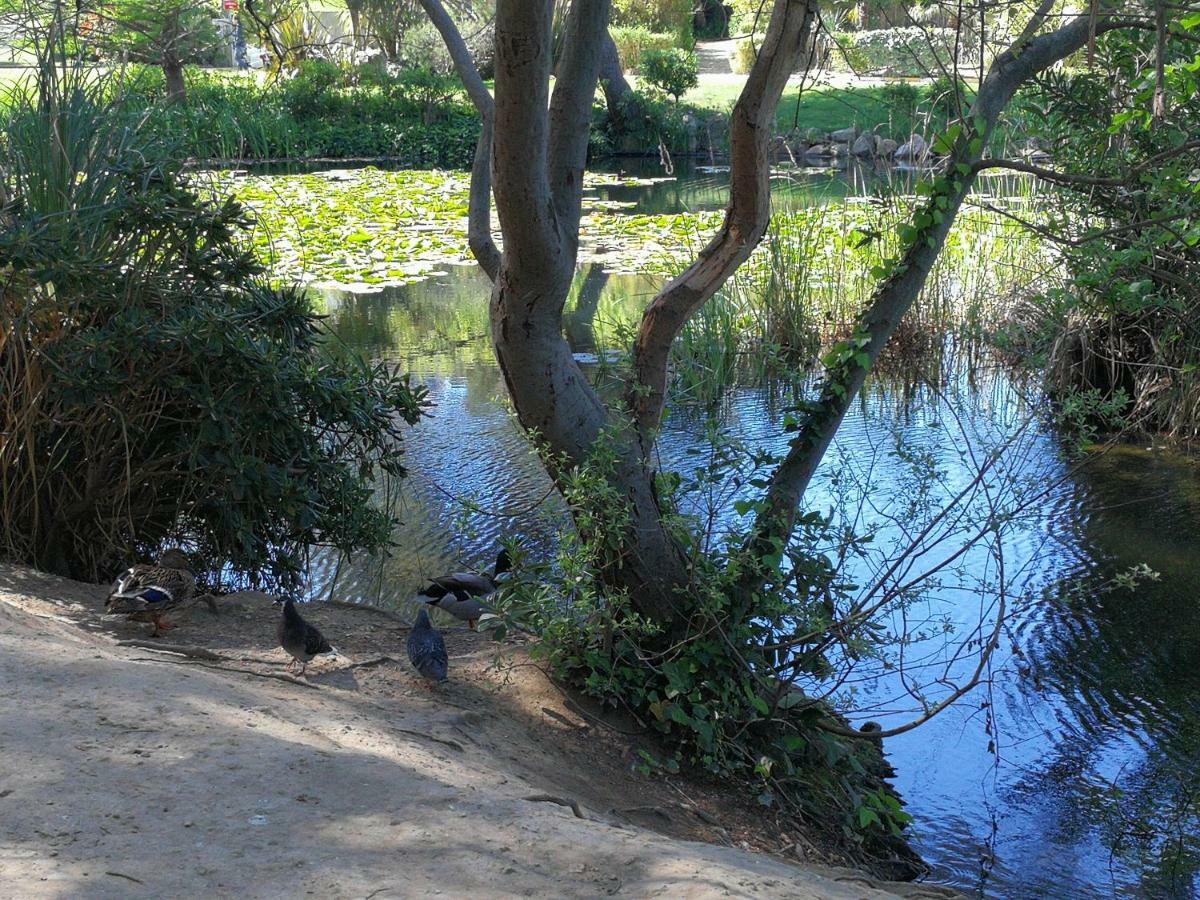 Domaine De La Coudouliere, T2 Climatise Terrasse Vue Mer Sans Vis A Vis Plage A 100M Six-Fours-les-Plages Kültér fotó